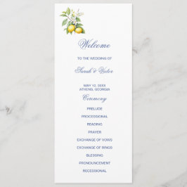 Lemons Double Sided Flat Program Programmakaart