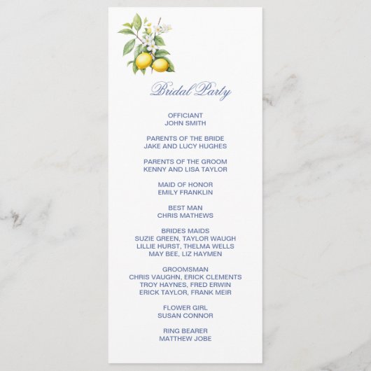 Lemons Double Sided Flat Program Programmakaart (Achterkant)