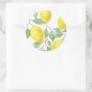 Lemons en bladeren ronde sticker