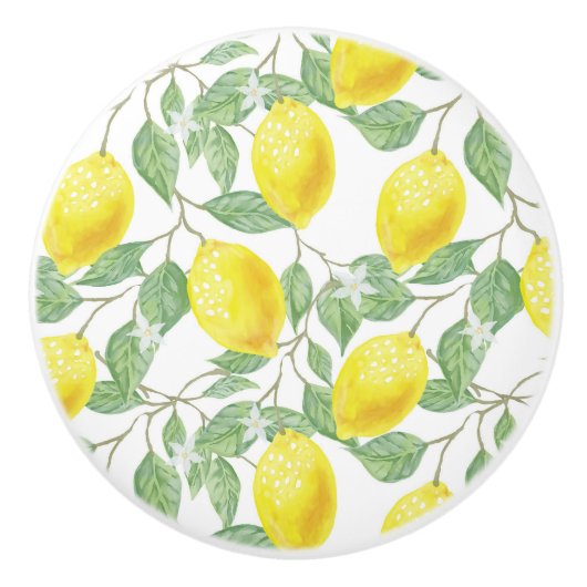 Lemons en lederen keramische knol keramische knop (Voorkant)