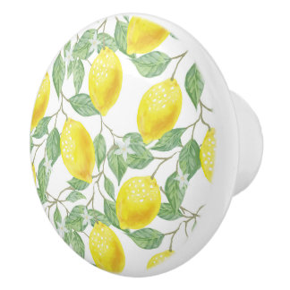 Lemons en lederen keramische knol knop