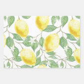 Lemons en lederen papierstellen met onmiddellijke inpakpapier vel (Voorkant 3)