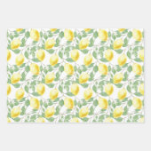Lemons en lederen papierstellen met onmiddellijke inpakpapier vel (Voorkant)