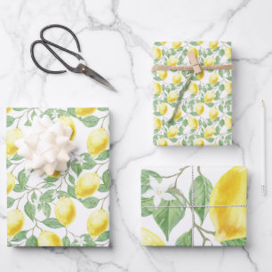 Lemons en lederen papierstellen met onmiddellijke  inpakpapier vel
