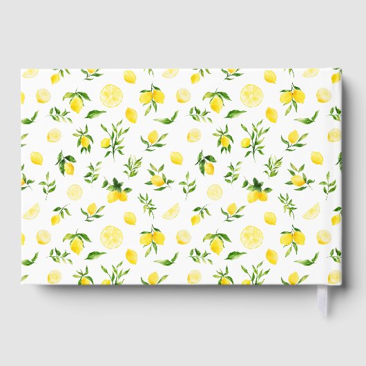 Lemons en olievlek gastenboek (Achterkant)