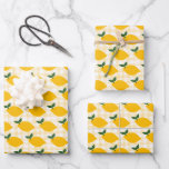 Lemons Gingham Schattigee CUSTOM Vrijgezellenfeest Inpakpapier Vel<br><div class="desc">Perfecte leuke cadeauverpakking voor een leuk feestje! Met de hand gemaakte kunst voor jou! Perfect voor een verjaardag, zomerbruiloft, vrijgezellenfeest, bruiloft, jubileumfeest, vrijgezellenfeest, verlovingsfeest of op elk moment! Kijk in mijn winkel voor alternatieve design en kleuren. BEDANKT VOOR HET ONDERSTEUNEN VAN ONAFHANKELIJKE ARTIESTEN! Alle kunstwerken en design zijn door mij...</div>