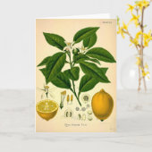 Lemons Kaart (Gele Bloem)