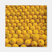 Lemons Magneet (Voorkant)
