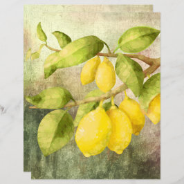 Lemons op een filiaal