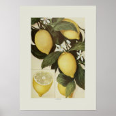 Lemons Poster (Voorkant)