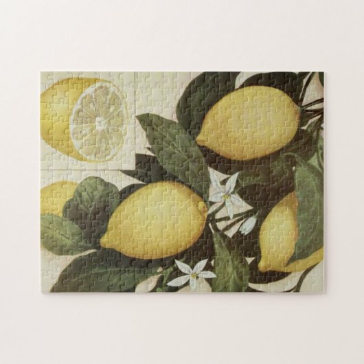 Lemons puzzel legpuzzel (Horizontaal)