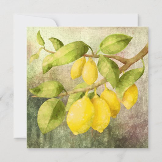 Lemons schilderen (Achterkant)