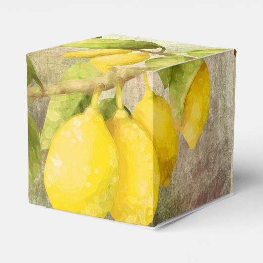 Lemons schilderen bedankdoosjes (Achterkant)