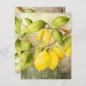 Lemons schilderen briefkaart (Voorkant / Achterkant)