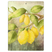 Lemons schilderen klembord (Achterkant)