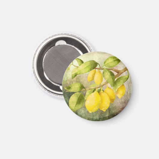 Lemons schilderen magneet (Voorkant / Achterkant)