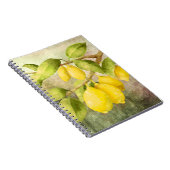 Lemons schilderen notitieboek (Rechterzijde)