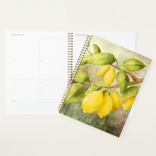 Lemons schilderen planner (Display)