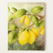 Lemons schilderen planner (Achterkant)