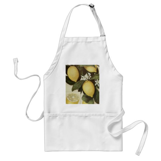 Lemons schort (Voorkant)