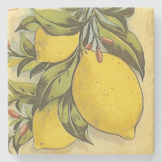 Lemons Square Stenen Onderzetter (Voorkant)