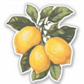  Lemons Sticker (Voorkant)