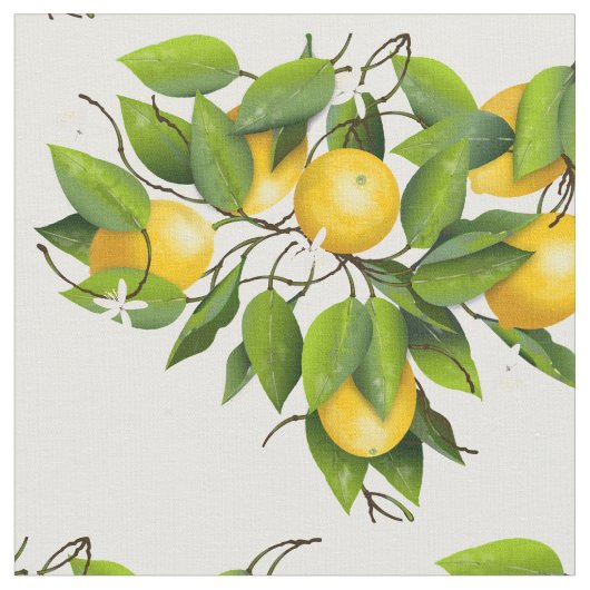 Lemons Stof (Close Up)