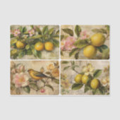 Lemons Tissuepapier (Voorkant)