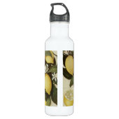 Lemons waterfles waterfles  (Achterkant)
