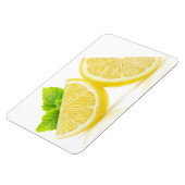 Lemonsegmenten Magneet (Linkerzijde)