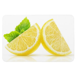 Lemonsegmenten Magneet