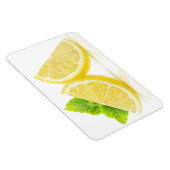 Lemonsegmenten Magneet (Rechterzijde)