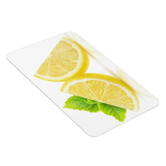 Lemonsegmenten Magneet (Rechterzijde)