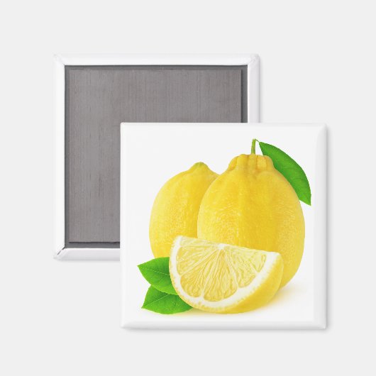 Lemonvruchten Magneet (Voorkant / Achterkant)