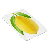 Lemonvruchten Magneet (Rechterzijde)