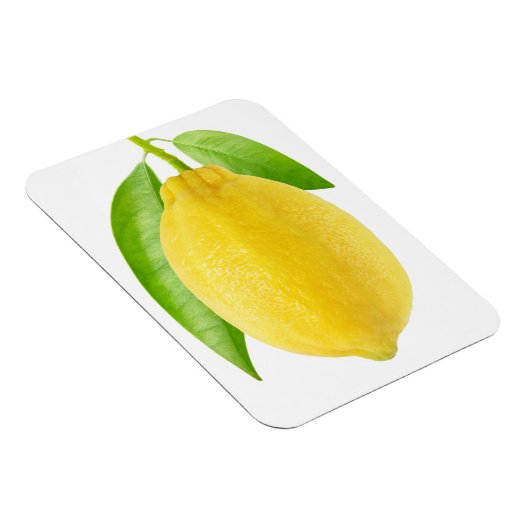 Lemonvruchten Magneet (Rechterzijde)