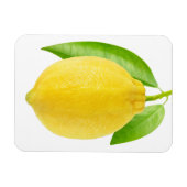Lemonvruchten Magneet (Horizontaal)