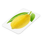 Lemonvruchten Magneet (Linkerzijde)