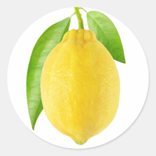 Lemonvruchten Ronde Sticker (Voorkant)