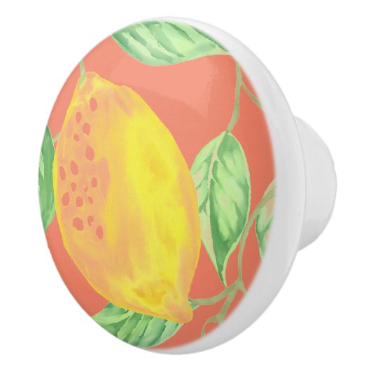 Lemonvruchtpatroon geel en perzikroze keramische knop (Rechts)