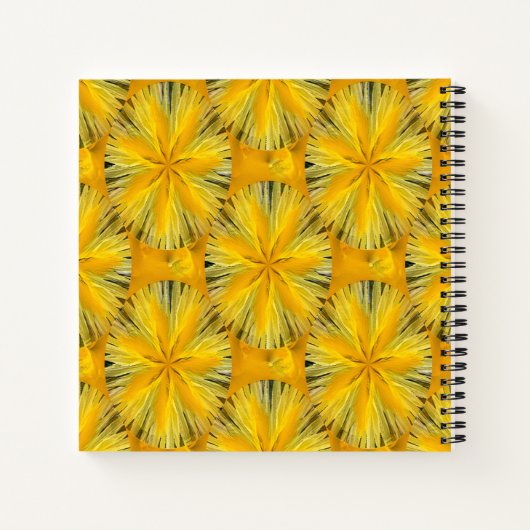 Lemony.... Notitieboek (Achterkant)