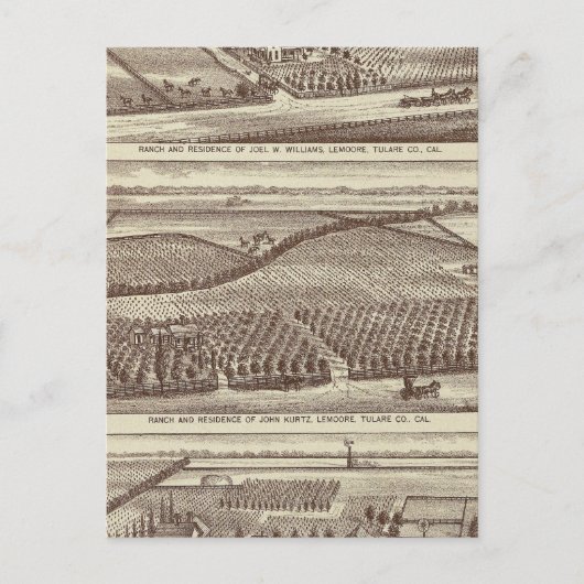 Lemoore, Armona ranches Briefkaart (Voorkant)