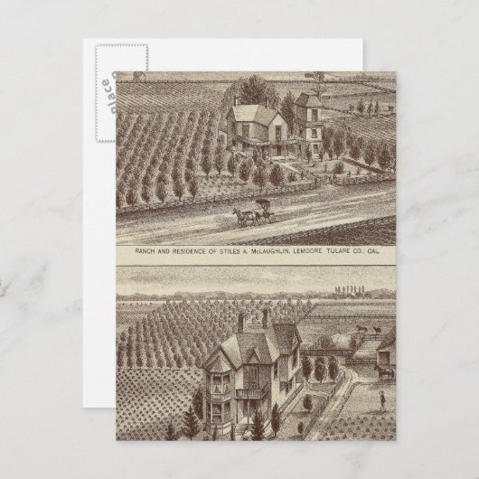 Lemoore, Armona ranches Briefkaart (Voorkant / Achterkant)