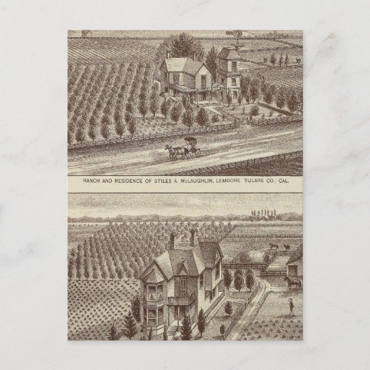 Lemoore, Armona ranches Briefkaart (Voorkant)