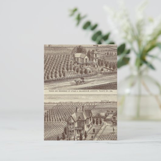 Lemoore, Armona ranches Briefkaart (Staand voorkant)