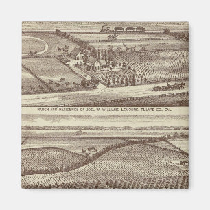 Lemoore, Armona ranches Magneet