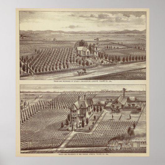 Lemoore, Armona ranches Poster (Voorkant)