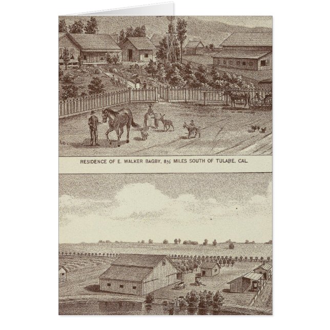 Lemoore Armona rangschikt 2 (Voorkant)