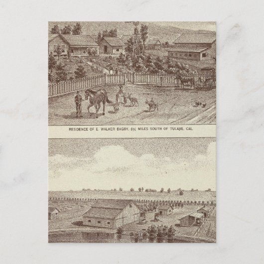 Lemoore Armona rangschikt 2 Briefkaart (Voorkant)