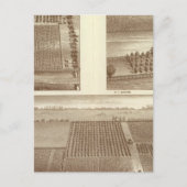 Lemoore ranches briefkaart (Voorkant)